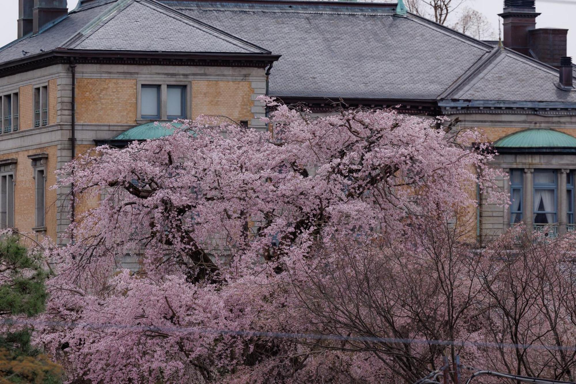 Hotel Chourakukan Kyoto Gion 長楽館 외부 사진